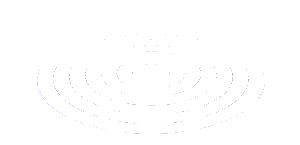 radial waves ver 2 1 20220712030130