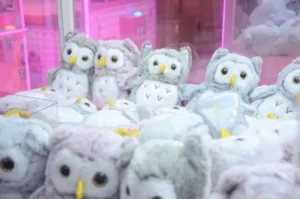 gau bong chim cu trang