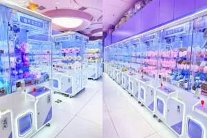 khu vui choi mau tim icon