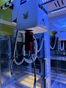 Móng Vuốt Săn Gấu Đỉnh Cao Chiến Thắng